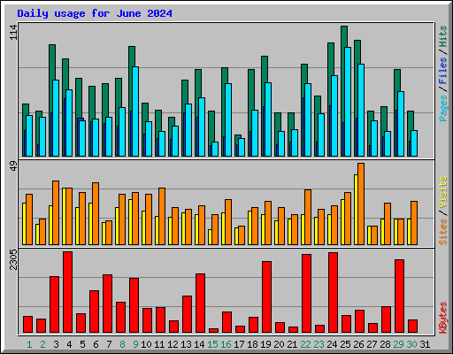 Daily usage for June 2024