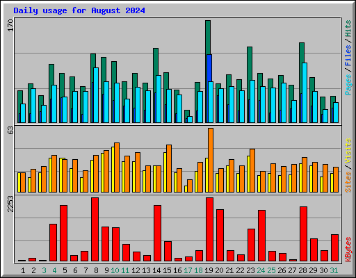 Daily usage for August 2024