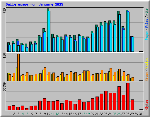 Daily usage for January 2025