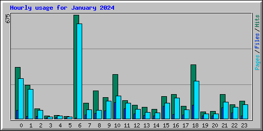 Hourly usage for January 2024