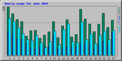 Hourly usage for June 2024