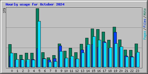 Hourly usage for October 2024