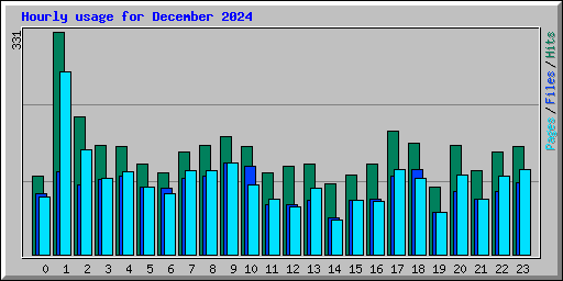 Hourly usage for December 2024