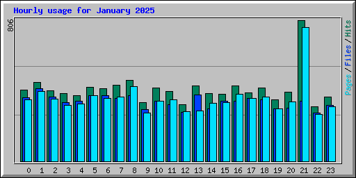 Hourly usage for January 2025