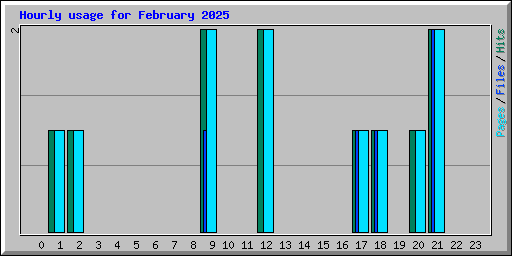 Hourly usage for February 2025