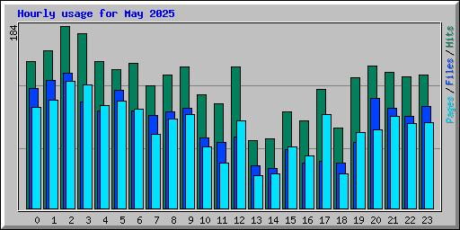Hourly usage for May 2025