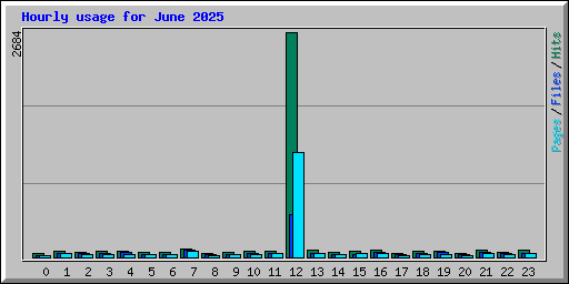 Hourly usage for June 2025