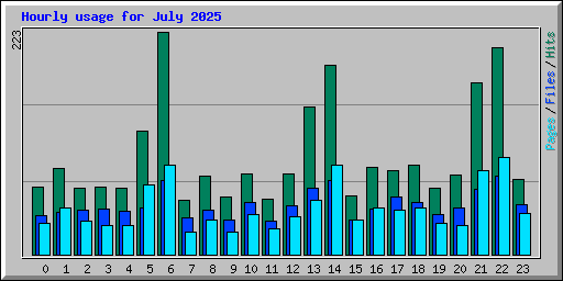 Hourly usage for July 2025