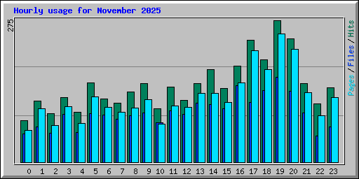 Hourly usage for November 2025