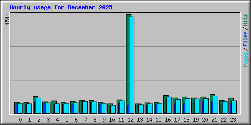 Hourly usage for December 2025