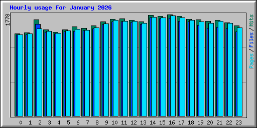 Hourly usage for January 2026