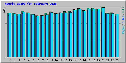 Hourly usage for February 2026