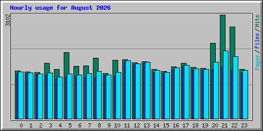 Hourly usage for August 2026